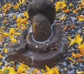 Goan temple 4